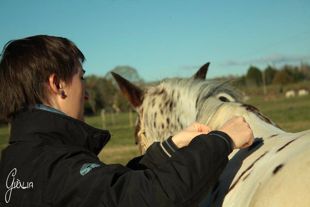 photo d'isabelle réalisant un massage shiatsu sur un cheval 